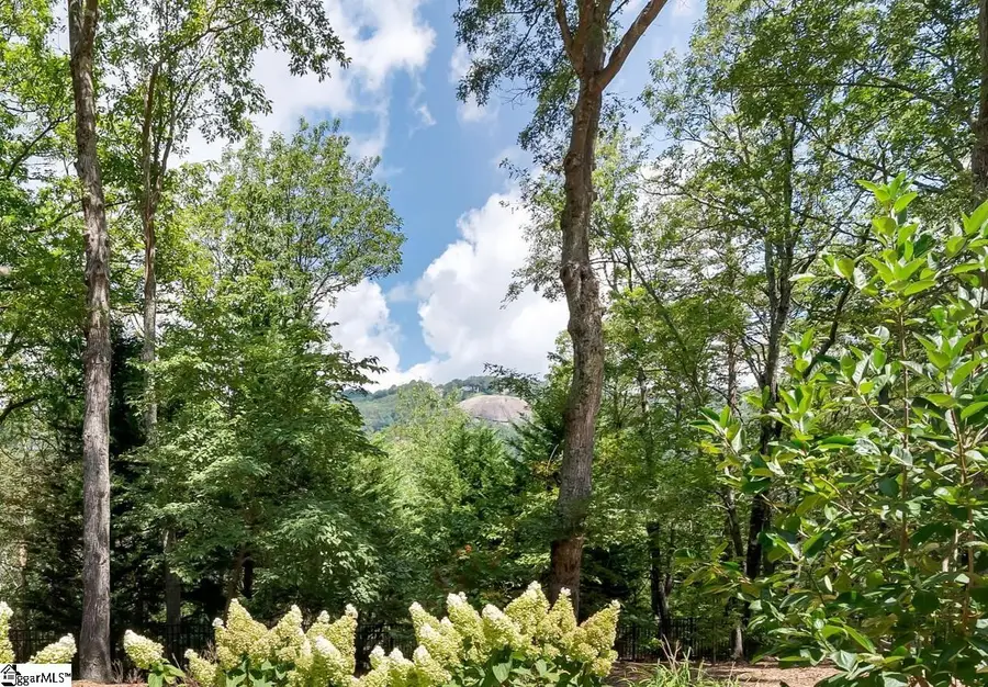610 Plumley Summit Road, Landrum, SC 29356 - #2