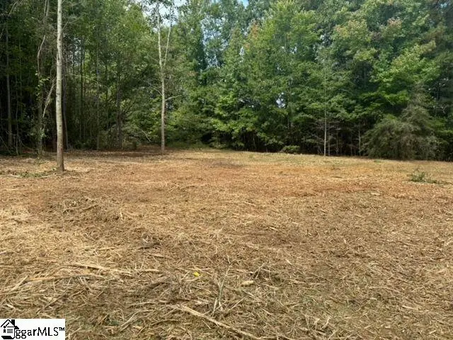 571 Highway 221, Laurens, SC 29360 - #2