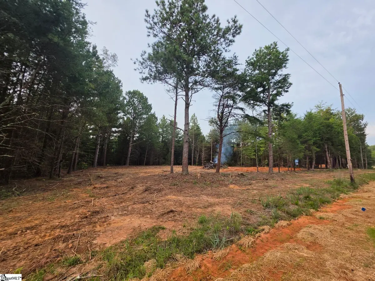 0 Owens Drive, Laurens, FL 29360 - #1