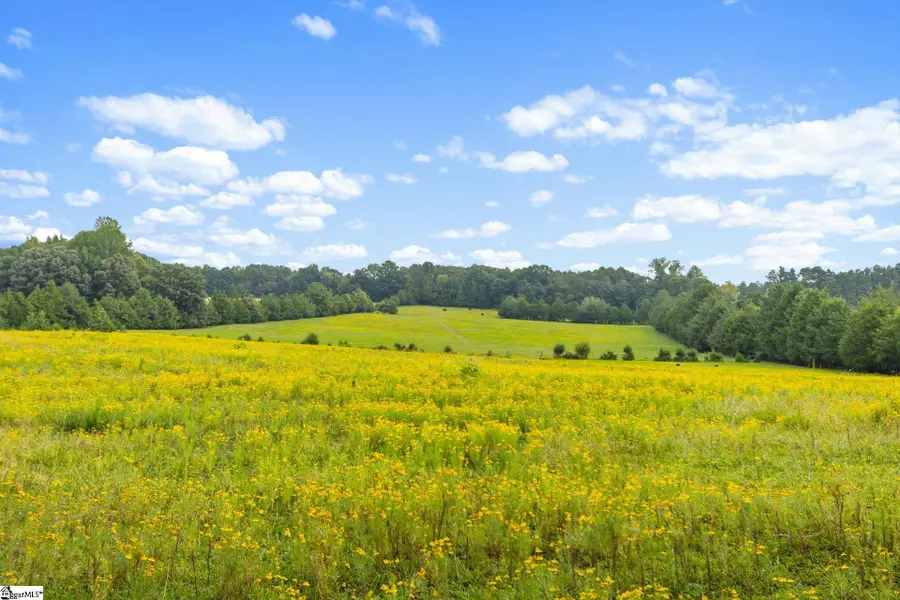 1496 Dixon Road, Laurens, SC 29360 - #3