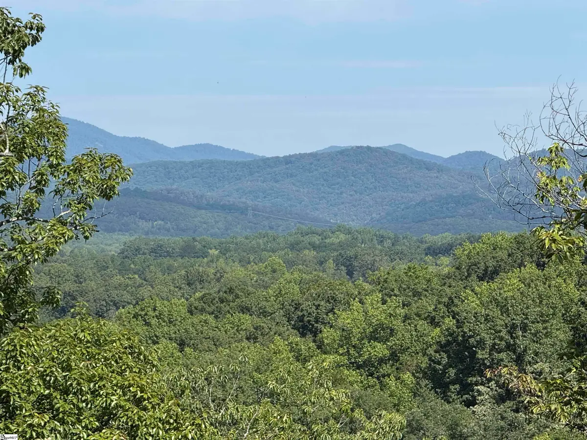 1140 Packs Mountain Ridge Road, Taylors, SC 29687 - #1