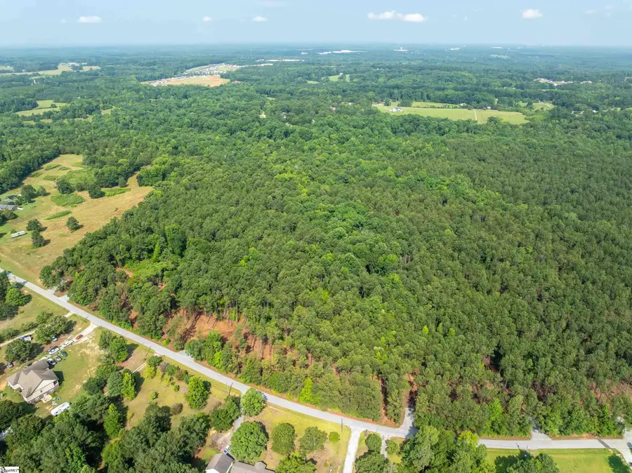 00 Cheek Road #Lot 19, Gray Court, SC 29645 - #3