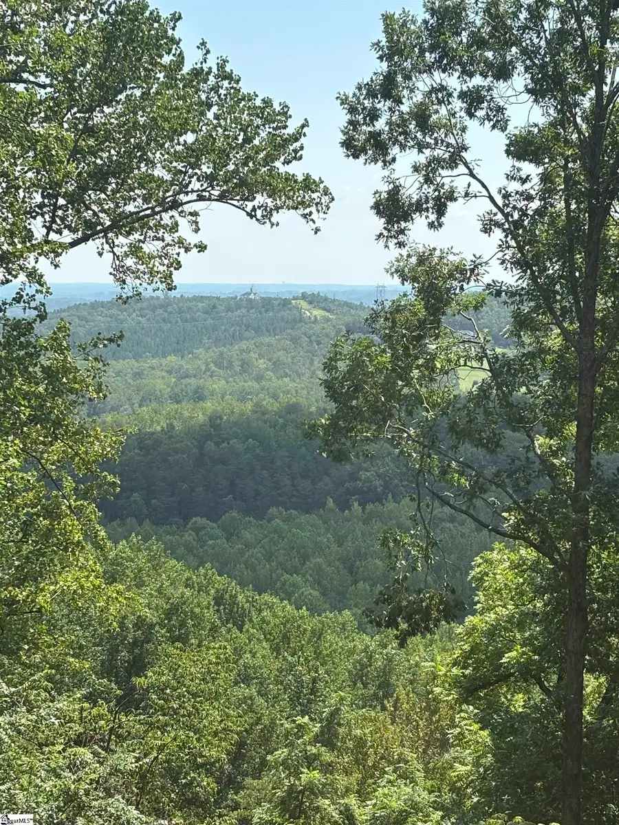 7 Angleblade Road, Landrum, SC 29356 - #3