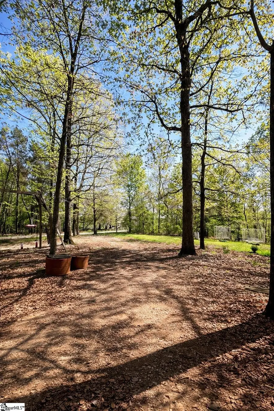 4124 414 Highway, Landrum, SC 29356 - #3