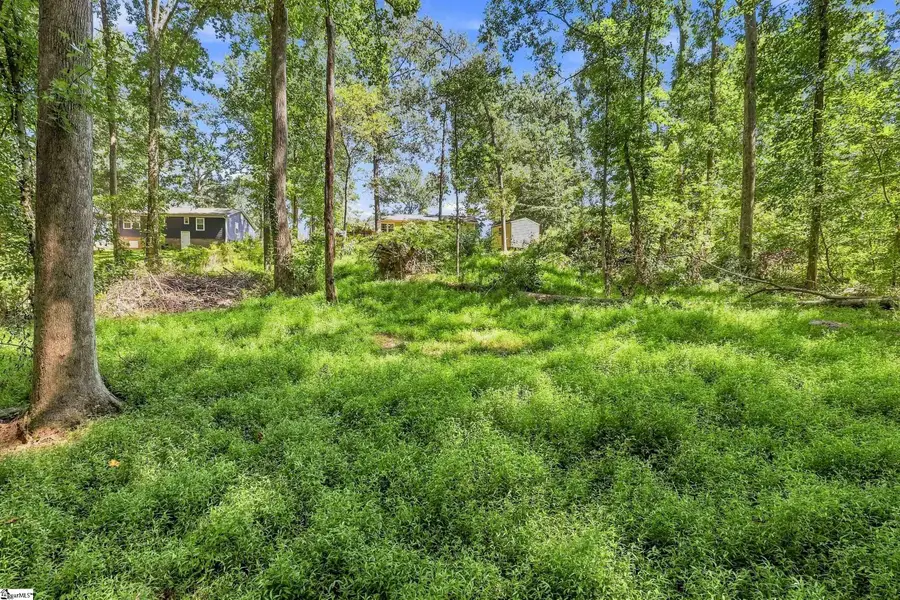 113 Blue Ridge Drive, Fountain Inn, SC 29644 - #3