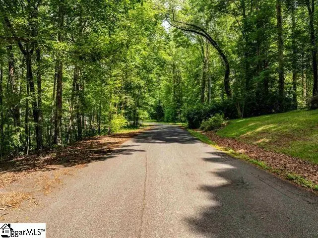 67 & 68 Wildflower Lane, Travelers Rest, SC 29690 - #3