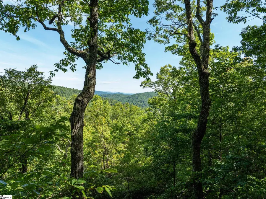 0 Panther Mountain Road #CVN-CVN-025 Lot 25, Zirconia, NC 28790 - #2