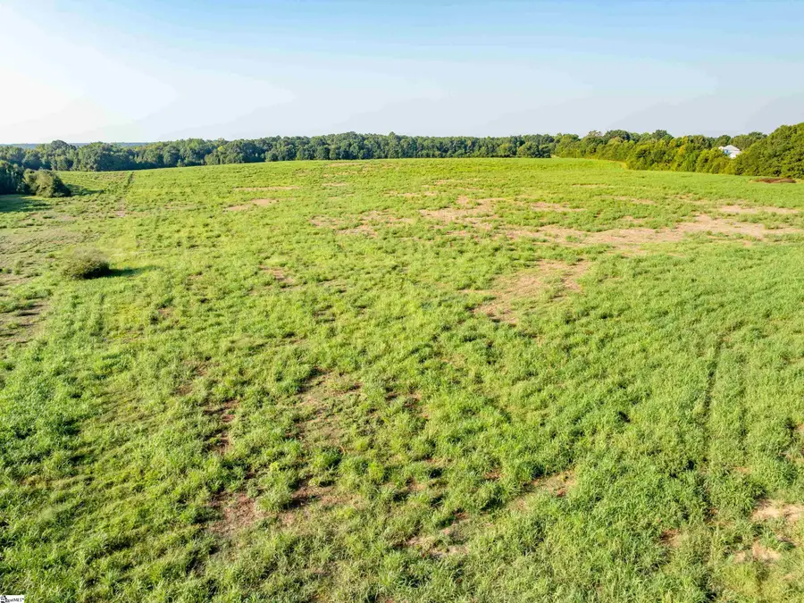 5175 W 76 Highway, Laurens, SC 29630 - #3