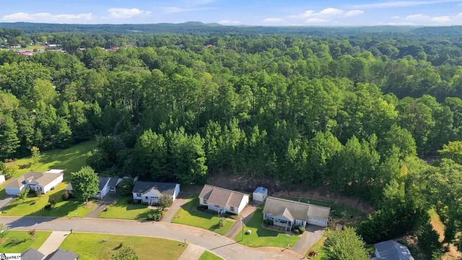 145 Brookwood Creek Drive, Landrum, SC 29356 - #3