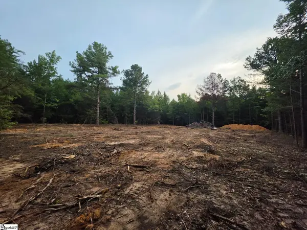 00 Owens Drive, Laurens, FL 29360