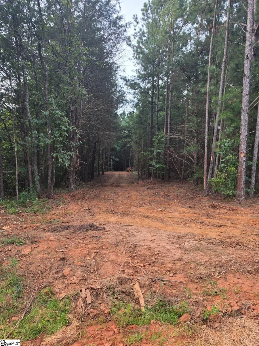 00 Owens Drive, Laurens, FL 29360 - #2