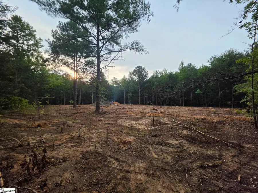 00 Owens Drive, Laurens, FL 29360 - #3