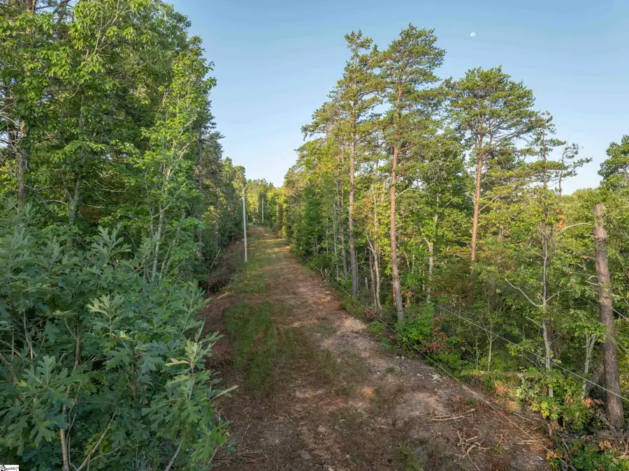00 Anthony Road, Pickens, SC 29671 - #3