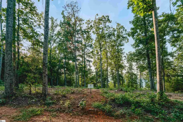 200 Chestnut Mountain Road #Lot 5, Travelers Rest, SC 29690