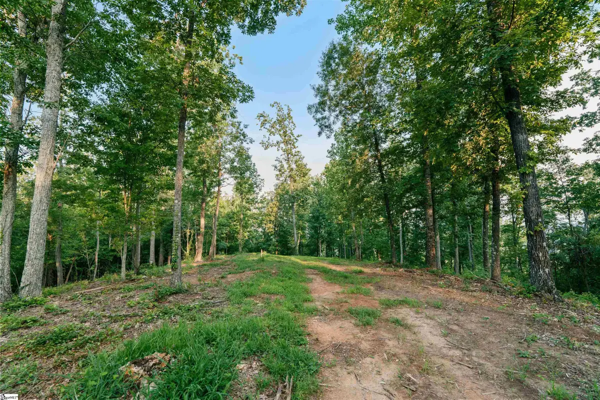 200 Chestnut Mountain Road #Lot 1, Travelers Rest, SC 29690 - #1