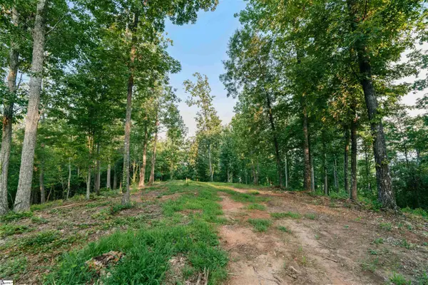 200 Chestnut Mountain Road #Lot 1, Travelers Rest, SC 29690