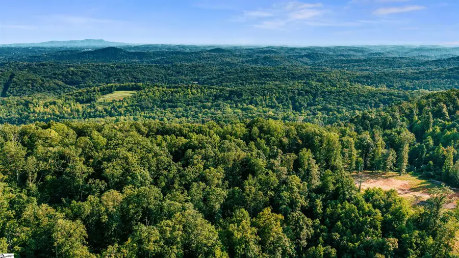 200 Chestnut Mountain Road #Lot 1, Travelers Rest, SC 29690 - #2