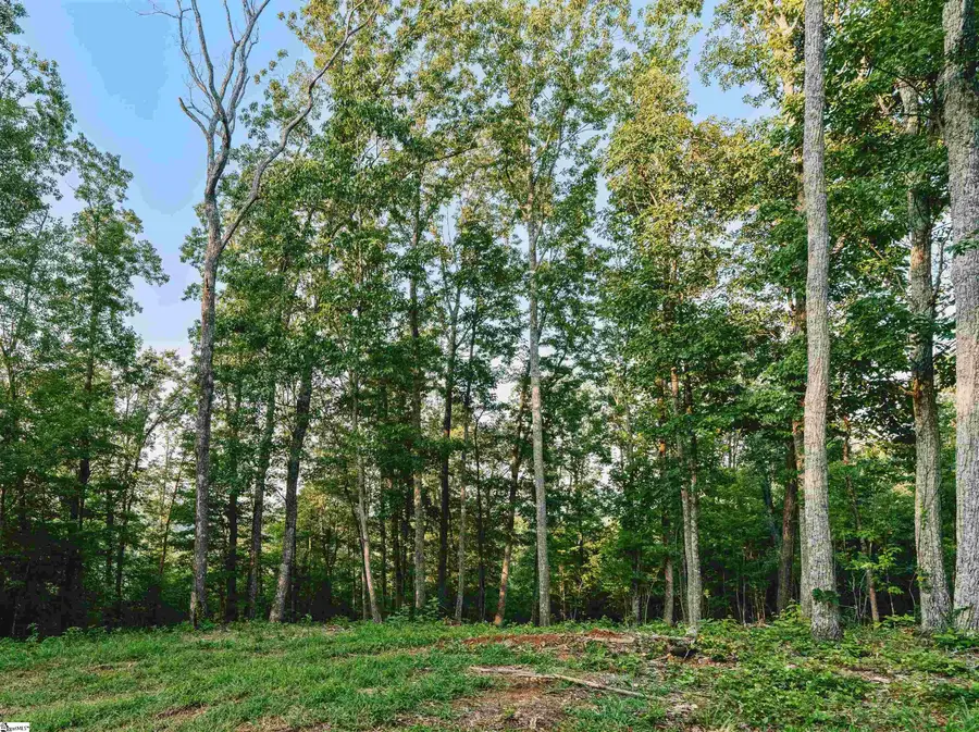 200 Chestnut Mountain Road #Lot 1, Travelers Rest, SC 29690 - #3