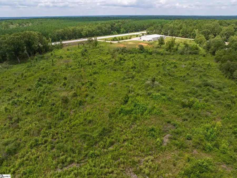 00 Puckett Ferry Road, Cross Hill, SC 29332 - #3