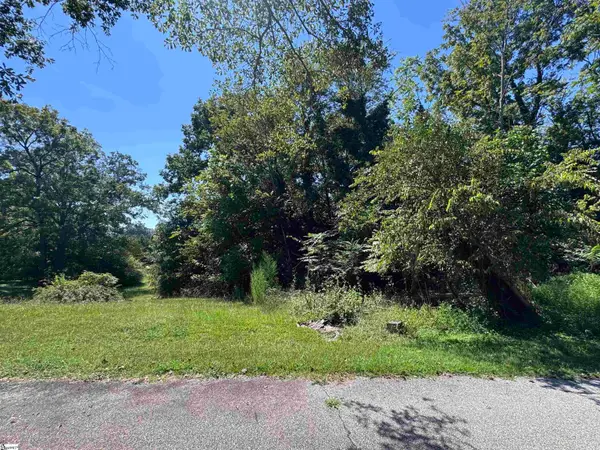 Skyuka Street, Drayton, SC 29333