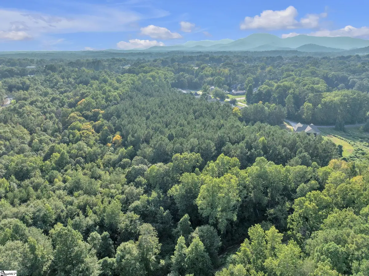 0 S Bomar Avenue, Landrum, SC 29356-1538 - #1