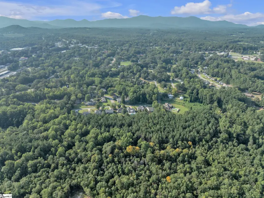 0 S Bomar Avenue, Landrum, SC 29356-1538 - #2