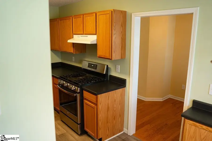 11 Hillside Glen Drive, Greer, SC 29650 - #3