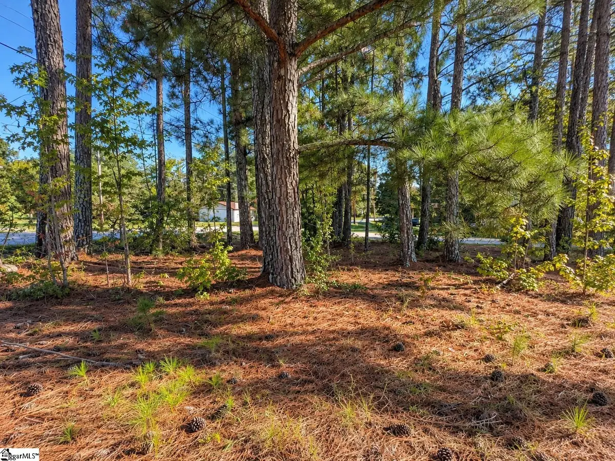 00 W Centennial Street, Clinton, SC 29325 - #1
