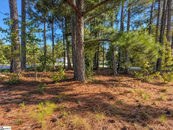 00 W Centennial Street, Clinton, SC 29325