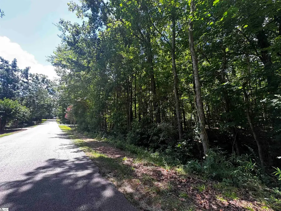 00 Fifth Avenue Extension, Clinton, SC 29325 - #2