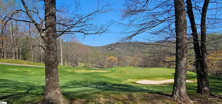 66 The Cliffs Parkway, Landrum, SC 29356 - #2