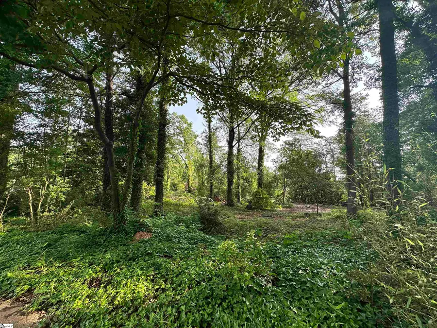 308 Old Grove Road, Greenville, SC 29605 - #2