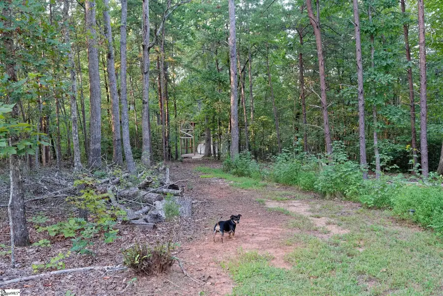 700 N Trade (c) Avenue, Landrum, SC 29356 - #2