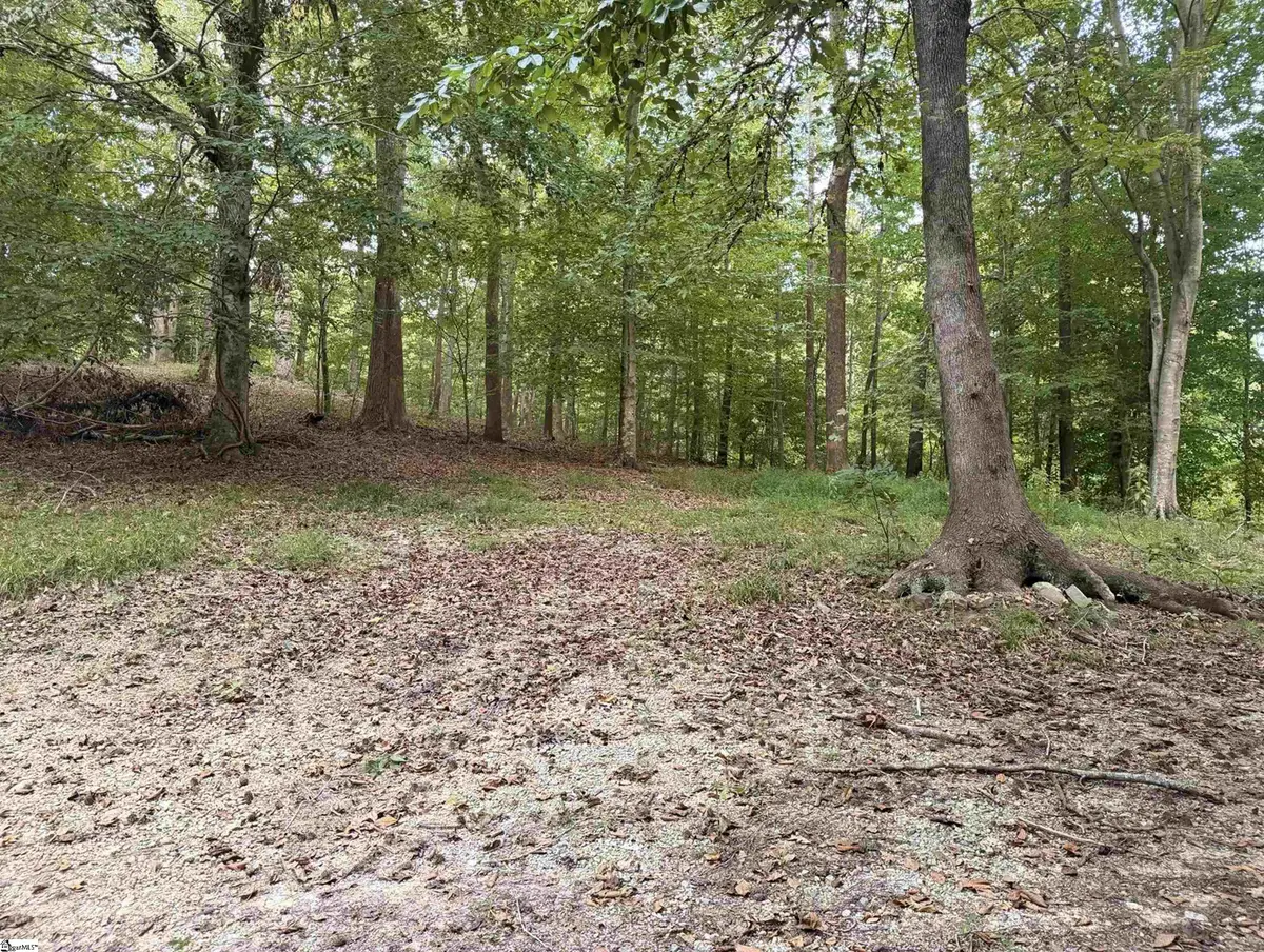 2155 Harris Grove Church Road, Gray Court, SC 29645 - #1