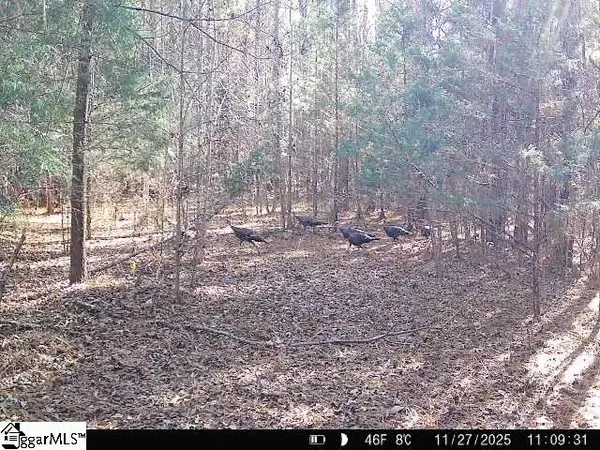 00 Simpson Mill Road, Laurens, SC 29360
