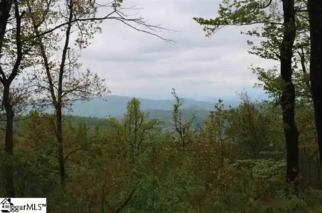122 Panther Mountain Road, Zirconia, NC 28790 - #1
