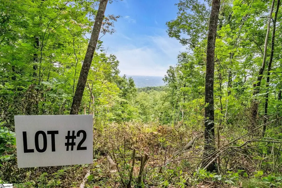 1321 Altamont Road, Greenville, SC 29609 - #2