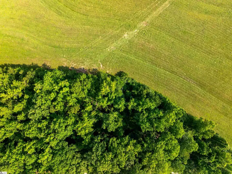 00 Cheek Road #Lot 3, Gray Court, SC 29645 - #2