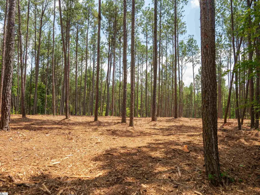 00 Cheek Road #Lot 8, Gray Court, SC 29645 - #2