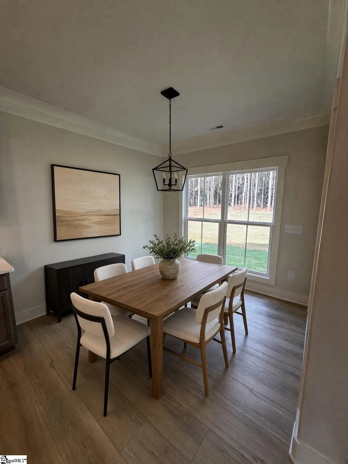 204 Palmetto Farms Way, Pelzer, SC 29669 - #1