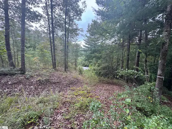 S46 Cliffs Falls Parkway, Salem, SC 29676