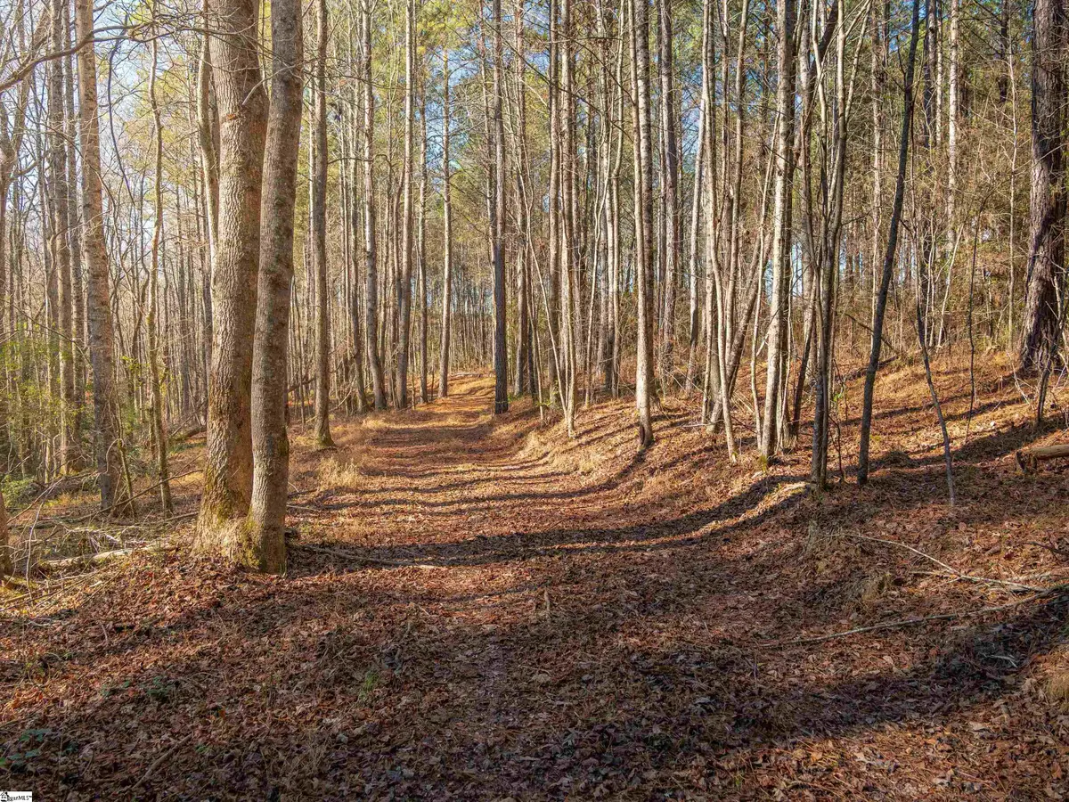 010 Mill Pine Road, Liberty, SC 29657 - #1