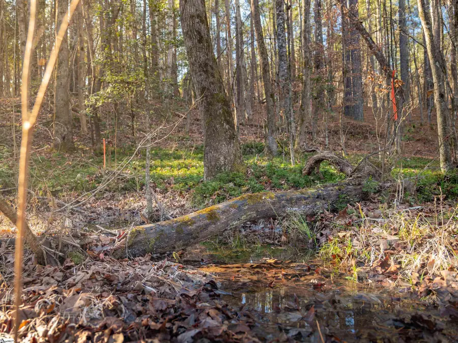010 Mill Pine Road, Liberty, SC 29657 - #2