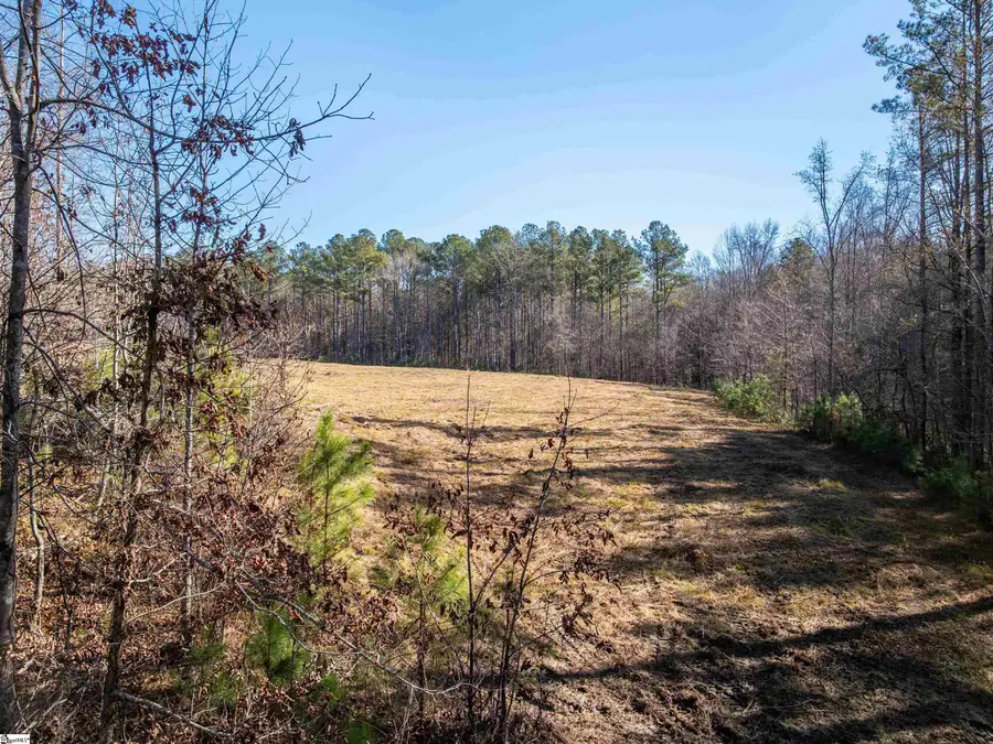010 Mill Pine Road, Liberty, SC 29657 - #3
