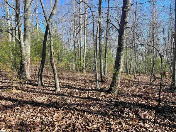 00 Highway 11 #Lot 2, Campobello, SC 29322
