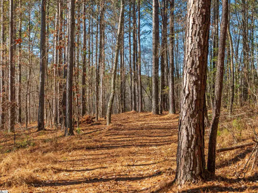 Mill Pine Road #Lots 10 & 11, Liberty, SC 29657 - #2