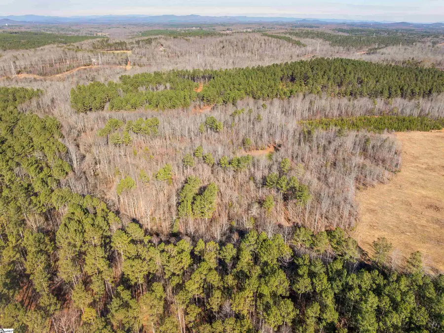 Mill Pine Road #Lots 10 & 11, Liberty, SC 29657 - #3