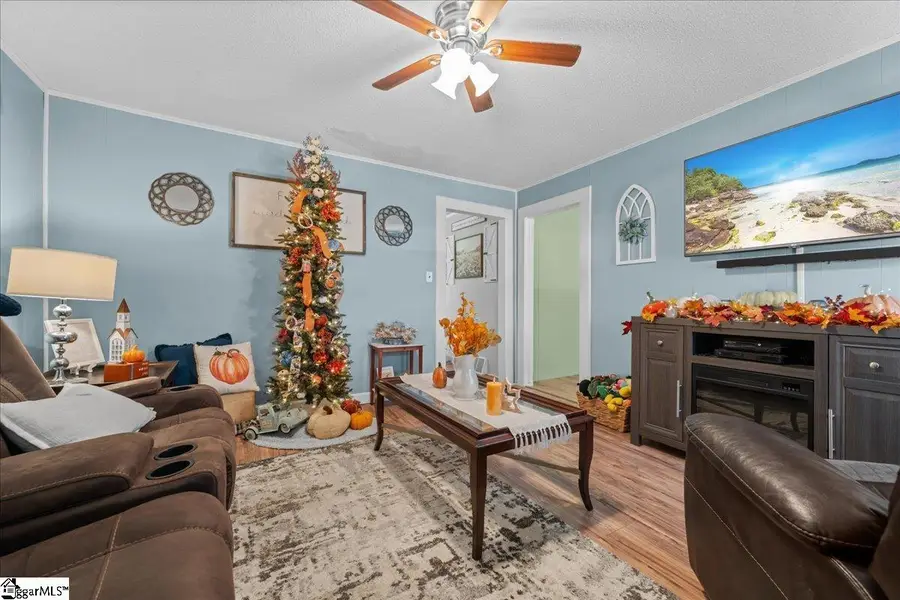156 Holder Street, Pickens, SC 29671 - #2