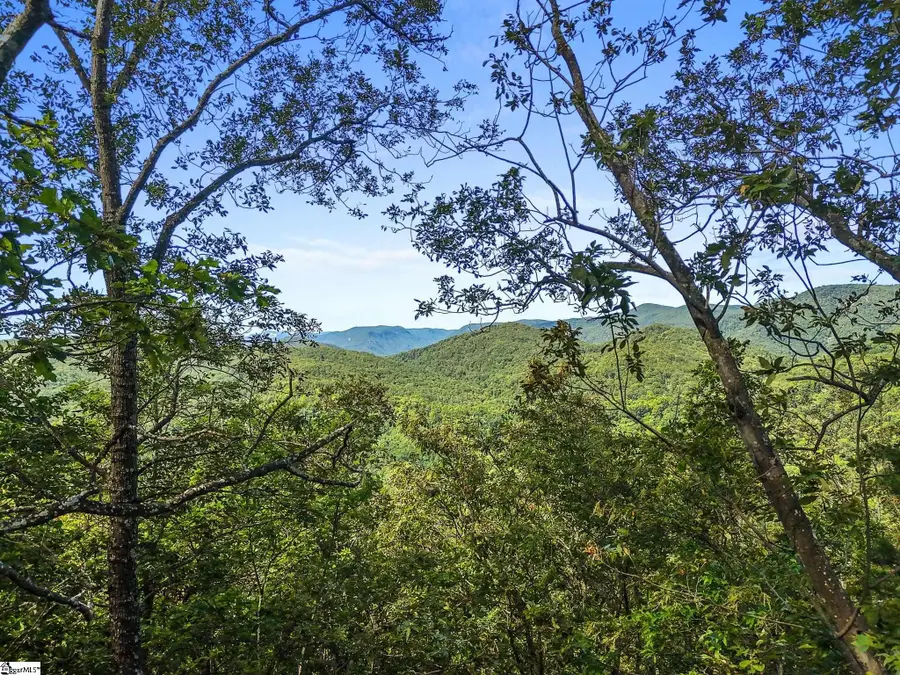 121 Upper Ridge Way, Travelers Rest, SC 29690 - #2