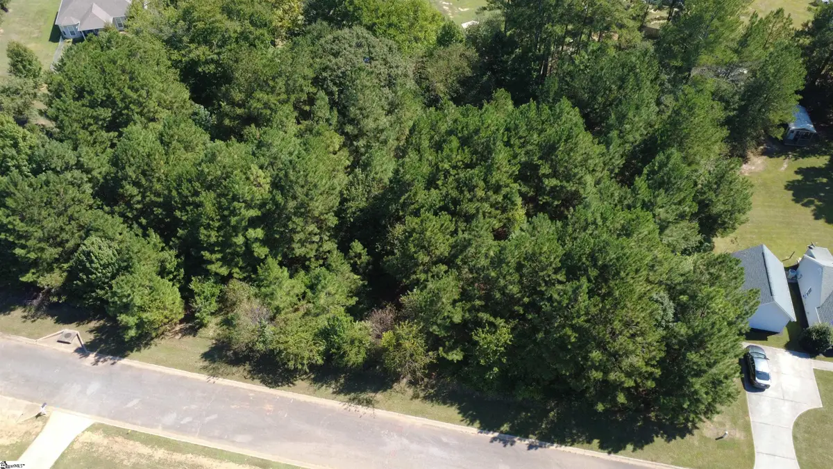 208 Carrageen Drive, Williamston, SC 29697 - #1